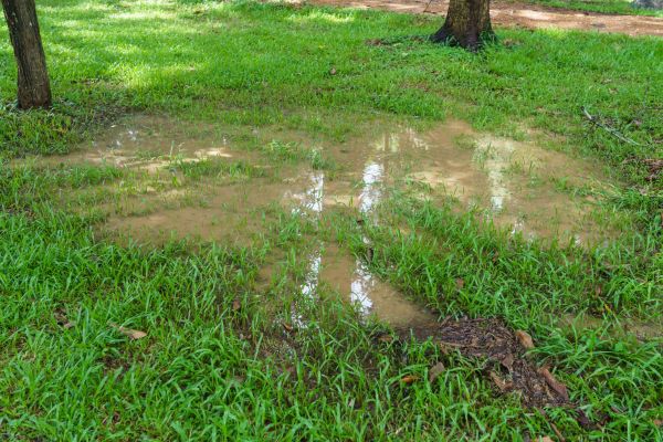 Cost of Storm Water Drainage Service in Midland