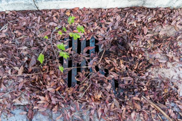 Cost of Yard Drain Unclogging in Midland