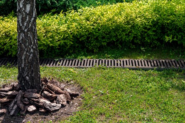Cost of Wet Yard Drainage in Midland