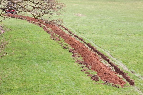 Cost of Swale Installation in Midland
