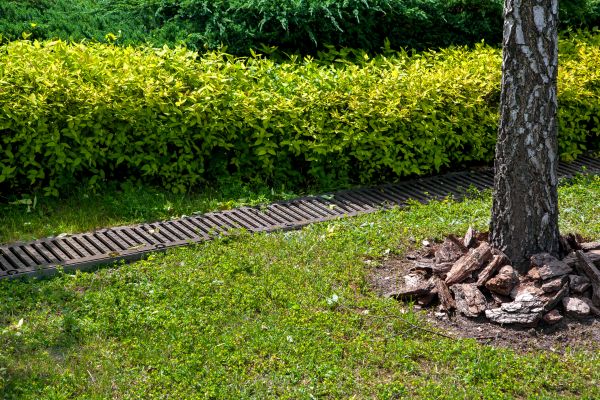 Cost of Residential Landscape Drainage in Midland