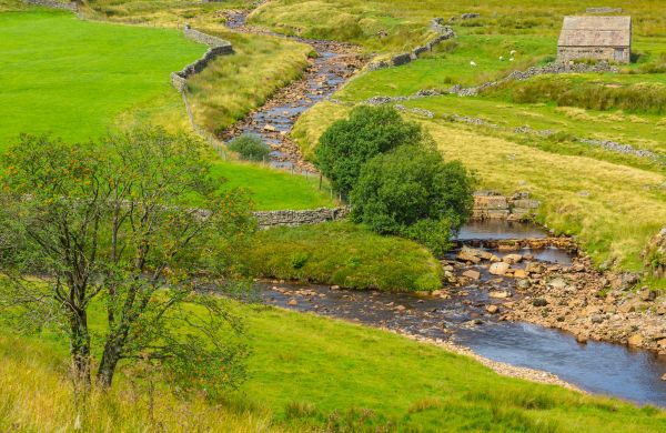 Cost of Swale Repair in Midland
